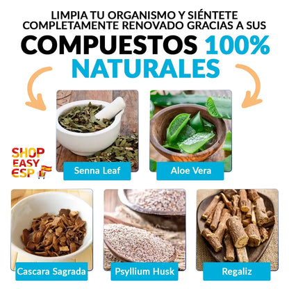 Detox estomacal en 15 dias